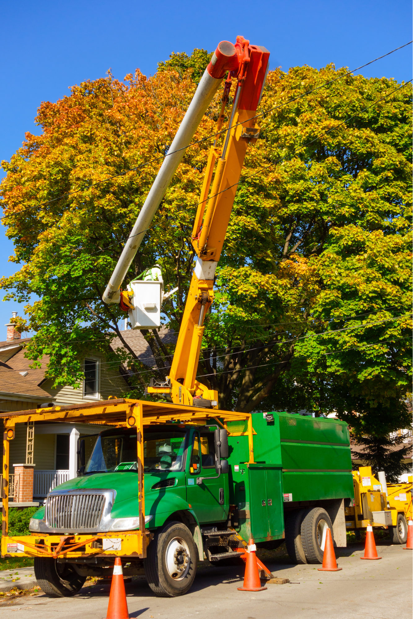 Residential Commercial & Emergency Tree Removal