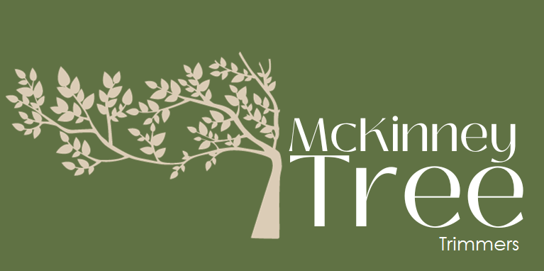 McKinney-Tree-Trimmers