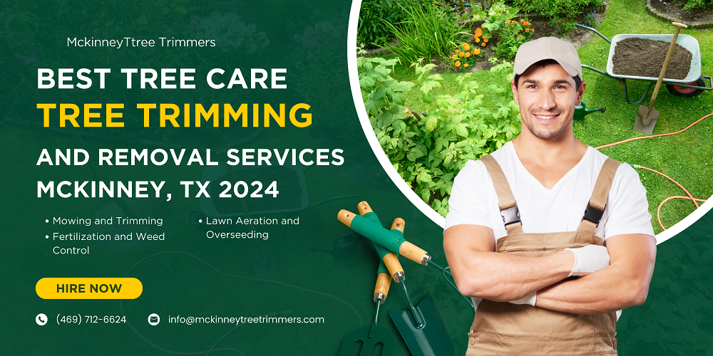 Best Tree Care – Tree Trimming and Removal Services McKinney, TX 2024
